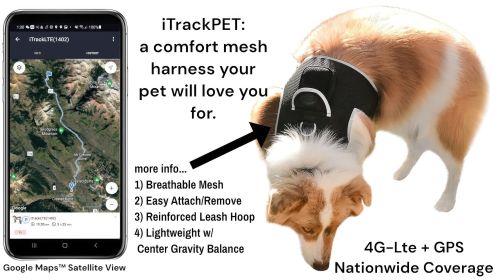 Mini Wearable Cat Tracker GPS Waterproof Rechargeable GSM Pet Locator Size:S